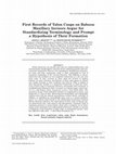 Research paper thumbnail of First Records of Talon Cusps on Baboon Maxillary Incisors Argue for Standardizing Terminology and Prompt a Hypothesis of Their Formation