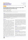 Research paper thumbnail of Morphological Characteristics of Toxocara spp. Adults Determined by Electron Microscopy