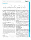 Research paper thumbnail of The <i>Arabidopsis</i> Diacylglycerol Kinase 4 is involved in nitric oxide-dependent pollen tube guidance and fertilization