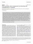 Research paper thumbnail of Puf-A promotes cancer progression by interacting with nucleophosmin in nucleolus