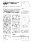 Research paper thumbnail of Within-row Spacing and Dry Weight Distribution in Two Strawberry Cultivars