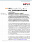 Research paper thumbnail of Multisensory learning between odor and sound enhances beta oscillations