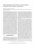 Research paper thumbnail of NMDA-Independent LTP by Adenosine A<sub>2</sub> Receptor-Mediated Postsynaptic AMPA Potentiation in Hippocampus