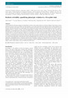 Research paper thumbnail of Realized evolvability: quantifying phenotypic evolution in a Drosophila clade