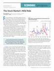 Research paper thumbnail of The Stock Market's Wild Ride