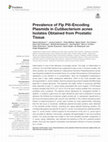 Research paper thumbnail of Prevalence of Flp Pili-Encoding Plasmids in Cutibacterium acnes Isolates Obtained from Prostatic Tissue