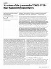 Research paper thumbnail of Structure of the lysosomal mTORC1–TFEB–Rag–Ragulator megacomplex