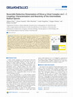 Research paper thumbnail of Reversible Reductive Dimerization of Diiron μ-Vinyl Complex via C–C Coupling: Characterization and Reactivity of the Intermediate Radical Species