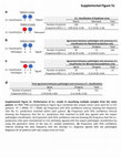 Research paper thumbnail of Figure S1 from Predicting Molecular Subtype and Survival of Rhabdomyosarcoma Patients Using Deep Learning of H&amp;E Images: A Report from the Children's Oncology Group