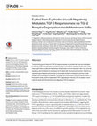 Research paper thumbnail of Euphol from Euphorbia tirucalli Negatively Modulates TGF-β Responsiveness via TGF-β Receptor Segregation inside Membrane Rafts