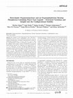 Research paper thumbnail of Heteroleptic Organostannylenes and an Organoplumbylene Bearing Phosphorus‐Containing Pincer‐Type Ligands – Structural Variations and Insights into the Configurational Stability