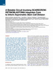 Research paper thumbnail of A Bistable Circuit Involving SCARECROW-RETINOBLASTOMA Integrates Cues to Inform Asymmetric Stem Cell Division