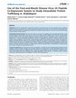 Research paper thumbnail of Use of the Foot-and-Mouth Disease Virus 2A Peptide Co-Expression System to Study Intracellular Protein Trafficking in Arabidopsis