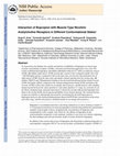 Research paper thumbnail of Interaction of Bupropion with Muscle-Type Nicotinic Acetylcholine Receptors in Different Conformational States