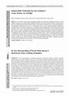 Research paper thumbnail of In vitro Micrografting of Woody Plant Species-I (Rootstock, Scion, Grafting Technique)