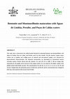 Research paper thumbnail of Bentonite and Montmorillonite maturation with Águas de Lindóia, Peruíbe and Poços de Caldas waters