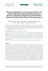 Research paper thumbnail of Molecular phylogenetics of cool-season grasses in the subtribes Agrostidinae, Anthoxanthinae, Aveninae, Brizinae, Calothecinae, Koeleriinae and Phalaridinae (Poaceae, Pooideae, Poeae, Poeae chloroplast group 1)