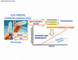 Research paper thumbnail of In situ film forming fibroin gel intended for cutaneous administration