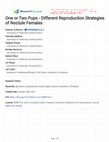 Research paper thumbnail of One or Two Pups - Different Reproduction Strategies of Noctule Females