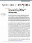 Research paper thumbnail of New mechanism of plasmons specific for spin-polarized nanoparticles