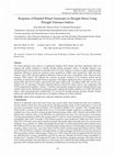 Research paper thumbnail of Response of Rainfed Wheat Genotypes to Drought Stress Using Drought Tolerance Indices