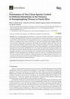 Research paper thumbnail of Performance of Two Citrus Species Grafted to Different Rootstocks in the Presence of Huanglongbing Disease in Puerto Rico