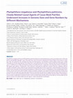 Research paper thumbnail of Phytophthora megakarya and P. palmivora, closely related causal agents of cacao black pod rot, underwent increases in genome sizes and gene numbers by different mechanisms