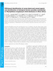 Research paper thumbnail of PCR-based identification of cacao black pod causal agents and identification of biological factors possibly contributing toPhytophthora megakarya's field dominance in West Africa