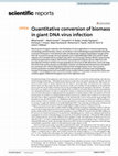 Research paper thumbnail of Quantitative conversion of biomass in giant DNA virus infection