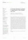 Research paper thumbnail of β-1,4-Xylan backbone synthesis in higher plants: How complex can it be?