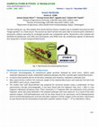 Research paper thumbnail of Insect herbicide