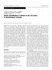 Research paper thumbnail of Genetic immobilization of cellulase on the cell surface of Saccharomyces cerevisiae