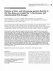 Research paper thumbnail of Patterns of inter- and intra-group genetic diversity in the Vlax Roma as revealed by Y chromosome and mitochondrial DNA lineages