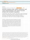 Research paper thumbnail of EXOSC8 mutations alter mRNA metabolism and cause hypomyelination with spinal muscular atrophy and cerebellar hypoplasia