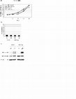 Research paper thumbnail of Supplementary Figure 1 from Validation of Met as a Therapeutic Target in Alveolar and Embryonal Rhabdomyosarcoma