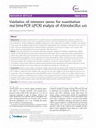 Research paper thumbnail of Validation of reference genes for quantitative real-time PCR (qPCR) analysis of Actinobacillus suis