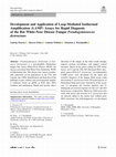 Research paper thumbnail of Development and Application of Loop-Mediated Isothermal Amplification (LAMP) Assays for Rapid Diagnosis of the Bat White-Nose Disease Fungus Pseudogymnoascus destructans