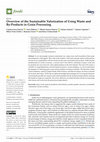 Research paper thumbnail of Overview of the Sustainable Valorization of Using Waste and By-Products in Grain Processing