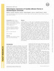 Research paper thumbnail of Heterologous expression of<i>Candida albicans</i>Pma1p in<i>Saccharomyces cerevisiae</i>