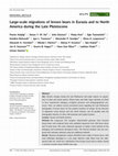 Research paper thumbnail of Large‐scale migrations of brown bears in Eurasia and to North America during the Late Pleistocene