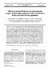 Research paper thumbnail of Effects of sessile Protozoa on intracapsular oxygen tension and embryonic shell calcification in the muricid Chorus giganteus