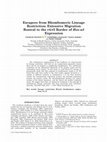 Research paper thumbnail of Escapees from Rhombomeric Lineage Restriction: Extensive Migration Rostral to the r4/r5 Border of Hox-a3 Expression