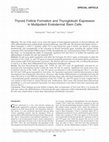 Research paper thumbnail of Thyroid Follicle Formation and Thyroglobulin Expression in Multipotent Endodermal Stem Cells