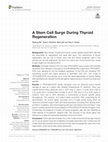 Research paper thumbnail of A Stem Cell Surge During Thyroid Regeneration