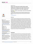 Research paper thumbnail of Spiny mice (Acomys) exhibit attenuated hallmarks of aging and rapid cell turnover after UV exposure in the skin epidermis