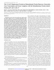 Research paper thumbnail of The CCAAT displacement protein/cut homeodomain protein represses osteocalcin gene transcription and forms complexes with the retinoblastoma protein-related protein p107 and cyclin A