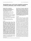 Research paper thumbnail of Burkholderia spp. are the most competitive symbionts of Mimosa, particularly under N‐limited conditions