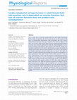 Research paper thumbnail of Cardiac adaptation to hypertension in adult female Dahl salt-sensitive rats is dependent on ovarian function, but loss of ovarian function does not predict early maladaptation