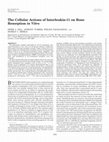 Research paper thumbnail of The Cellular Actions of Interleukin-11 on Bone Resorption<i>in Vitro</i>