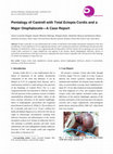 Research paper thumbnail of Pentalogy of Cantrell with Total Ectopia Cordis and a Major Omphalocele—A Case Report